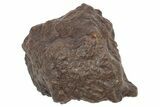 Chondrite Meteorite ( g) - Western Sahara Desert #233174-1
